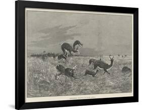 Springbok-Shooting in South Africa-Henry Charles Seppings Wright-Framed Giclee Print