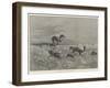 Springbok-Shooting in South Africa-Henry Charles Seppings Wright-Framed Giclee Print