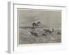 Springbok-Shooting in South Africa-Henry Charles Seppings Wright-Framed Giclee Print