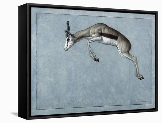 Springbok-James W. Johnson-Framed Stretched Canvas