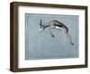 Springbok-James W. Johnson-Framed Giclee Print