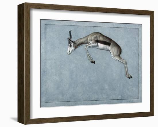 Springbok-James W. Johnson-Framed Giclee Print