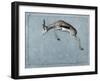 Springbok-James W. Johnson-Framed Giclee Print