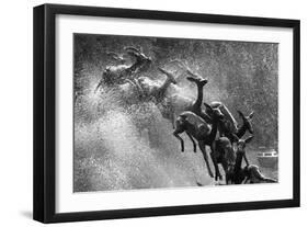 Springboks Statue-null-Framed Photographic Print