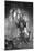 Springboks Statue-null-Mounted Photographic Print