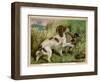 Springer Spaniel Card-null-Framed Art Print