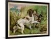 Springer Spaniel Card-null-Framed Premium Giclee Print