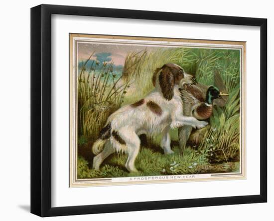 Springer Spaniel Card-null-Framed Art Print