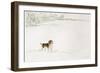 Springer Spaniel in the Snow-Suzi Kennett-Framed Giclee Print