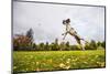 Springer Spaniel jumping to catch treat, United Kingdom, Europe-John Alexander-Mounted Premium Photographic Print