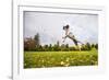 Springer Spaniel jumping to catch treat, United Kingdom, Europe-John Alexander-Framed Photographic Print