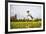 Springer Spaniel jumping to catch treat, United Kingdom, Europe-John Alexander-Framed Photographic Print