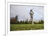 Springer Spaniel leaping for treat, United Kingdom, Europe-John Alexander-Framed Photographic Print