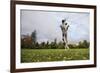 Springer Spaniel leaping for treat, United Kingdom, Europe-John Alexander-Framed Photographic Print