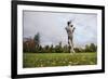 Springer Spaniel leaping for treat, United Kingdom, Europe-John Alexander-Framed Photographic Print