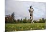 Springer Spaniel leaping for treat, United Kingdom, Europe-John Alexander-Mounted Photographic Print