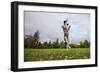 Springer Spaniel leaping for treat, United Kingdom, Europe-John Alexander-Framed Photographic Print