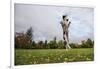 Springer Spaniel leaping for treat, United Kingdom, Europe-John Alexander-Framed Photographic Print