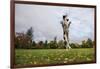 Springer Spaniel leaping for treat, United Kingdom, Europe-John Alexander-Framed Photographic Print