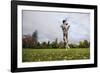 Springer Spaniel leaping for treat, United Kingdom, Europe-John Alexander-Framed Photographic Print