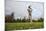 Springer Spaniel leaping for treat, United Kingdom, Europe-John Alexander-Mounted Photographic Print