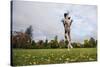 Springer Spaniel leaping for treat, United Kingdom, Europe-John Alexander-Stretched Canvas