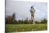 Springer Spaniel leaping for treat, United Kingdom, Europe-John Alexander-Stretched Canvas