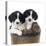 Springer Spaniel Puppies Sitting in a Bucket-null-Stretched Canvas