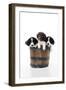 Springer Spaniel Puppies Sitting in a Bucket-null-Framed Photographic Print