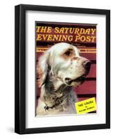 "Springer Spaniel," Saturday Evening Post Cover, November 16, 1940-W.W. Calvert-Framed Premium Giclee Print