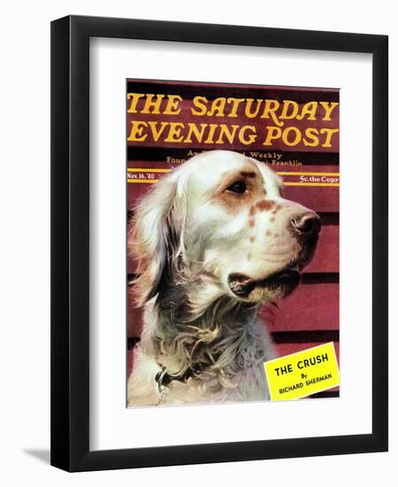 "Springer Spaniel," Saturday Evening Post Cover, November 16, 1940-W.W. Calvert-Framed Premium Giclee Print