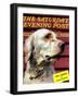 "Springer Spaniel," Saturday Evening Post Cover, November 16, 1940-W.W. Calvert-Framed Premium Giclee Print