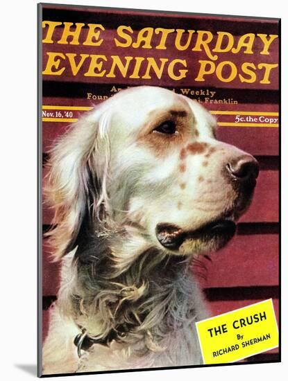 "Springer Spaniel," Saturday Evening Post Cover, November 16, 1940-W.W. Calvert-Mounted Premium Giclee Print