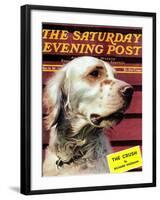 "Springer Spaniel," Saturday Evening Post Cover, November 16, 1940-W.W. Calvert-Framed Giclee Print