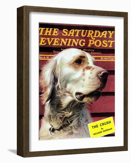 "Springer Spaniel," Saturday Evening Post Cover, November 16, 1940-W.W. Calvert-Framed Giclee Print