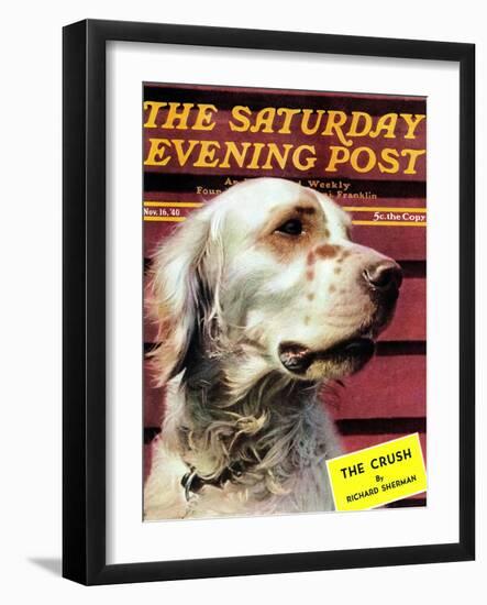 "Springer Spaniel," Saturday Evening Post Cover, November 16, 1940-W.W. Calvert-Framed Giclee Print