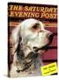 "Springer Spaniel," Saturday Evening Post Cover, November 16, 1940-W.W. Calvert-Stretched Canvas