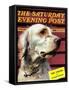 "Springer Spaniel," Saturday Evening Post Cover, November 16, 1940-W.W. Calvert-Framed Stretched Canvas