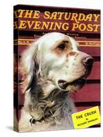 "Springer Spaniel," Saturday Evening Post Cover, November 16, 1940-W.W. Calvert-Stretched Canvas