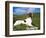 Springer Spaniel, Scotland, UK-Pete Cairns-Framed Premium Photographic Print