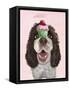 Springer Spaniel with Cupcake-Fab Funky-Framed Stretched Canvas