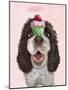 Springer Spaniel with Cupcake-Fab Funky-Mounted Art Print