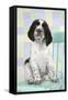 Springer Spaniel-null-Framed Stretched Canvas