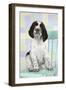 Springer Spaniel-null-Framed Photographic Print