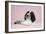 Springer Spaniel-null-Framed Photographic Print