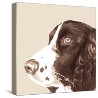 Springer Spaniel-Emily Burrowes-Stretched Canvas