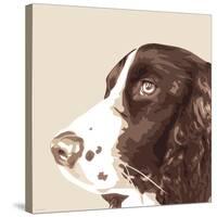 Springer Spaniel-Emily Burrowes-Stretched Canvas