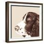 Springer Spaniel-Emily Burrowes-Framed Art Print