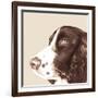 Springer Spaniel-Emily Burrowes-Framed Art Print