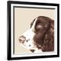 Springer Spaniel-Emily Burrowes-Framed Art Print